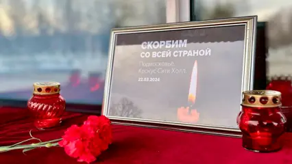 В Нижнекамске возле ДНТ можно почтить память жертв теракта в Подмосковье