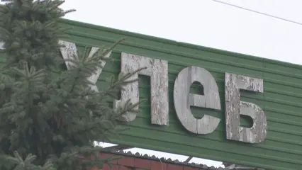 Прокуратура нашла на «Нижнекамском хлебокомбинате» незаконно устроенных иностранцев - НТР 24