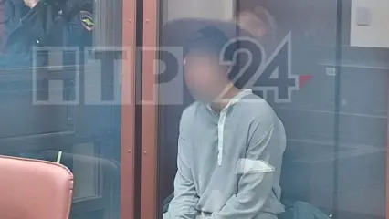 Нижнекамцу, напавшему на полицейских, продлили арест до 1 июня - НТР 24