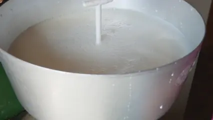 Первая еда каждого человека: как можно использовать молоко в быту