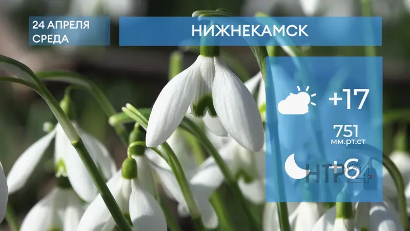 Прогноз погоды в Нижнекамске на 24-е апреля 2024 года