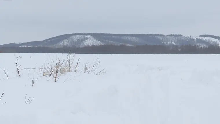 Метеоролог КФУ: снег в Татарстане может полностью растаять уже на следующей неделе