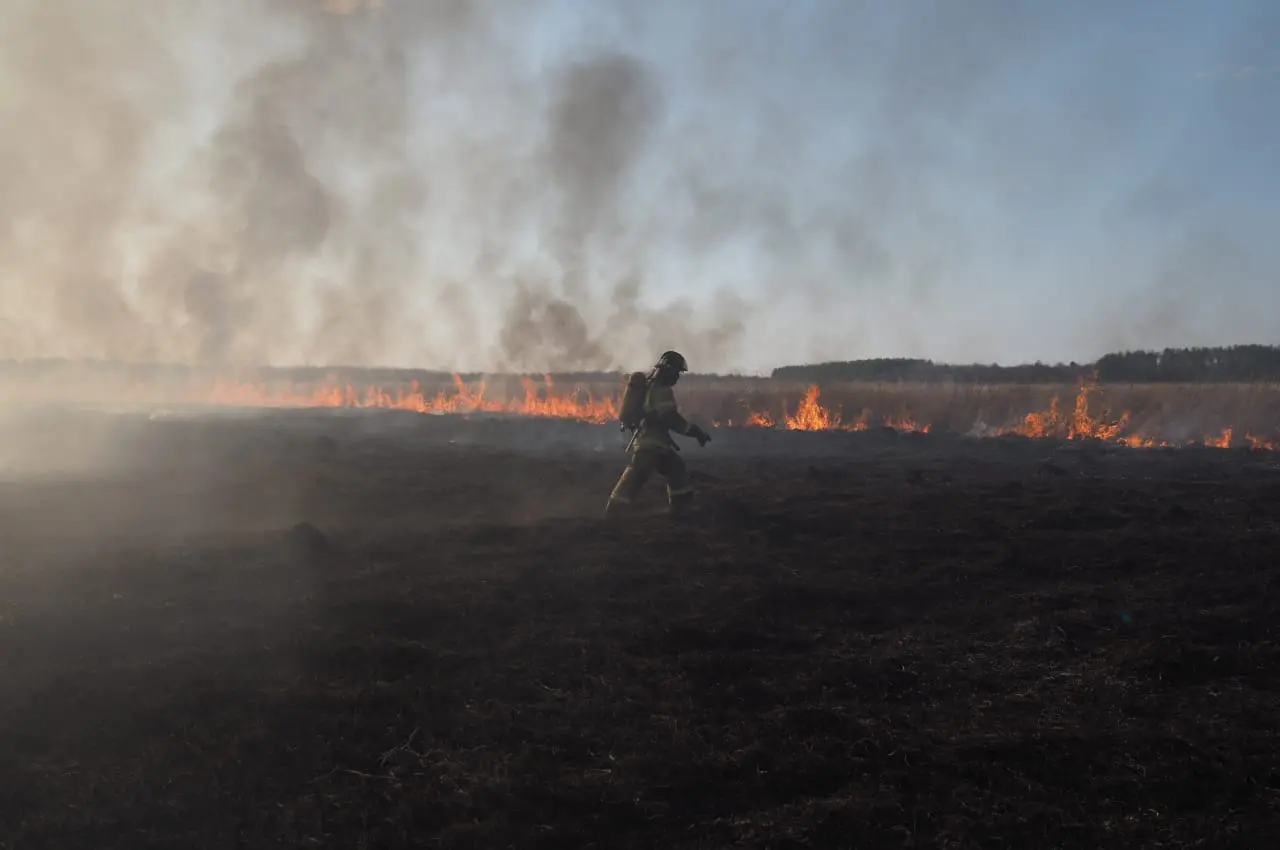В Татарстане начал действовать особый противопожарный режим