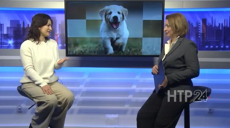 «Тема дня». Ответственное обращение с животными