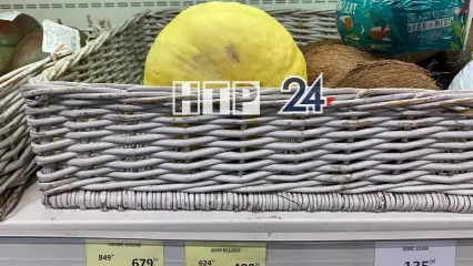 В супермаркете Нижнекамска продается дыня за 500 рублей - НТР 24