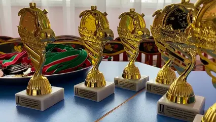 В Нижнекамске прошли соревнования для дошколят из разных уголков Татарстана