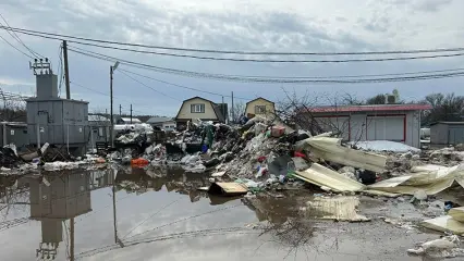 В СНТ под Нижнекамском образовалась огромная свалка – мусор не вывозят с прошлого года