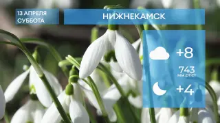 Прогноз погоды в Нижнекамске на 13-е апреля 2024 года
