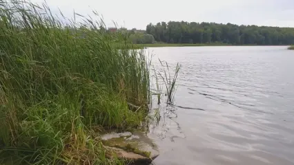 Под Нижнекамском на озере утонул человек