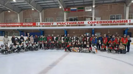 Нижнекамская следж-хоккейная команда стала серебряным призером фестиваля в Азнакаева