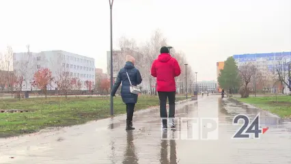 В Татарстане пройдёт дождь, а воздух прогреется до +23