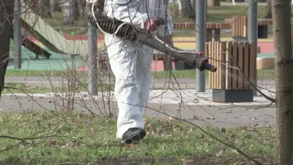 В Нижнекамске приступят к обработке парков от клещей и грызунов