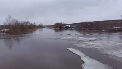 В Татарстане на 6 апреля затоплено 6 мостов, 3 участка дорог и 64 приусадебных участка