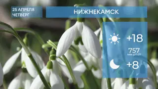 Прогноз погоды в Нижнекамске на 25-е апреля 2024 года