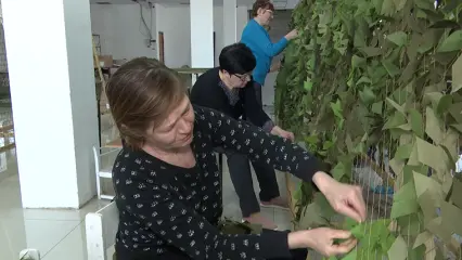 Волонтеры Нижнекамска продолжают плести маскировочные сети для бойцов СВО - НТР 24
