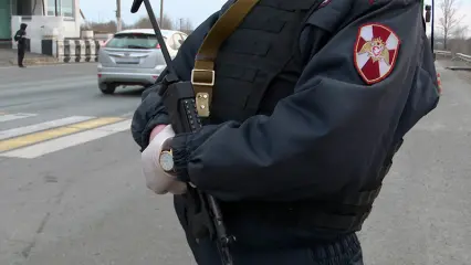 Добровольцы Росгвардии будут получать такие же льготы, как в составе минобороны - НТР 24