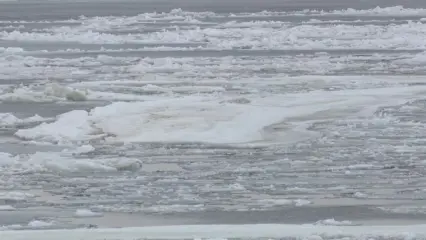 В Татарстане на реке Милля начался ледоход - НТР 24