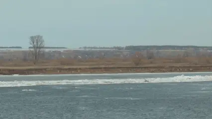 Жителям Нижнекамска напомнили о штрафе за выход на Каму до открытия навигации - НТР 24