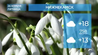 Прогноз погоды в Нижнекамске на 26-е апреля 2024 года