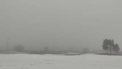 Из-за тумана задержаны три рейса в Москву из Нижнекамска - НТР 24