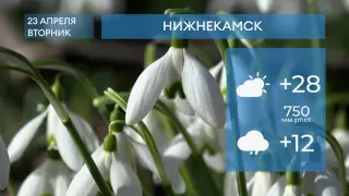 Прогноз погоды в Нижнекамске на 23-е апреля 2024 года