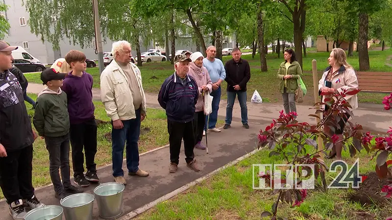 В Нижнекамске жители высадили в своём дворе деревья в память о погибших на СВО соседях