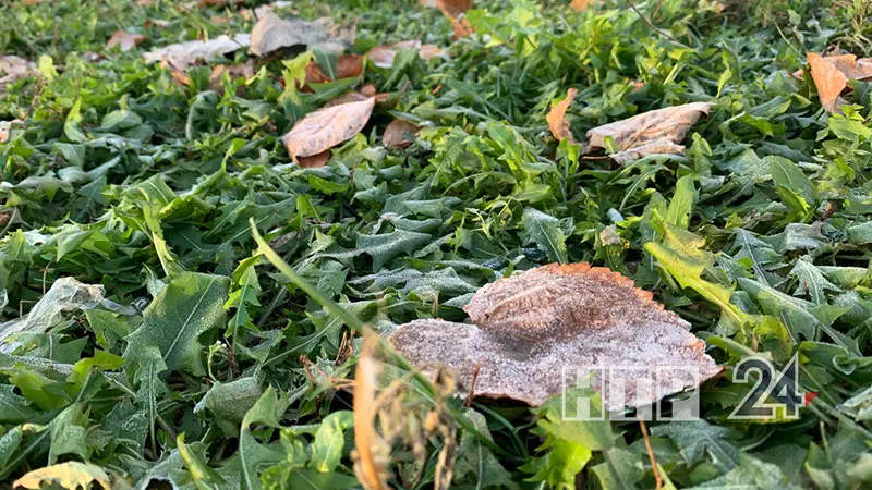 Ночные заморозки вновь вернутся в Татарстан, ожидается до -2 градусов