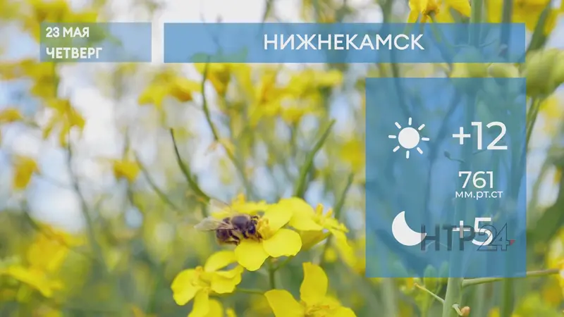 Прогноз погоды в Нижнекамске на 23-е мая 2024 года