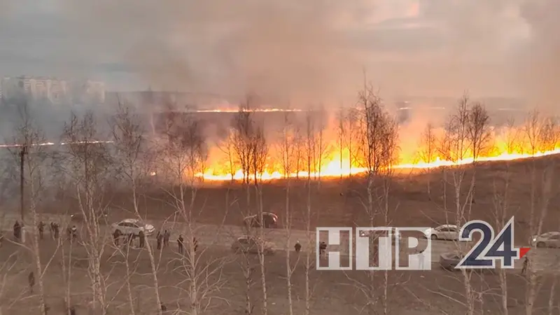 Из-за высокой пожарной опасности в Татарстане объявлено штормовое предупреждение