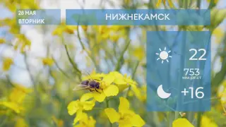 Прогноз погоды в Нижнекамске на 28-е мая 2024 года