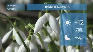 Прогноз погоды в Нижнекамске на 15-е мая 2024 года
