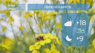 Прогноз погоды в Нижнекамске на 22-е мая 2024 года