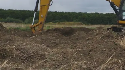 В Нижнекамском районе будут ликвидировать свалку промышленных отходов советских времен