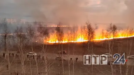 В Татарстане сохраняется высокая пожарная опасность лесов