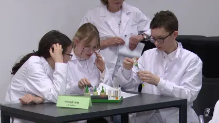 Для нижнекамских школьников провели интеллектуальную игру по химии