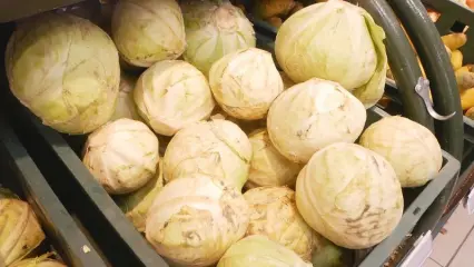 Нижнекамский район отметился самой высокой в РТ ценой на капусту и баранину