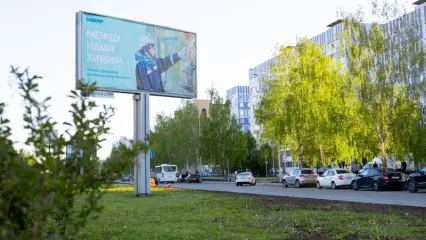 Нижнекамск в преддверии Дня химика украсили картины живописцев Союза художников РТ