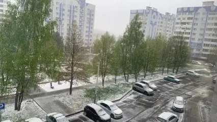 Мокрый снег и заморозки: татарстанцев предупредили об аномальном похолодании