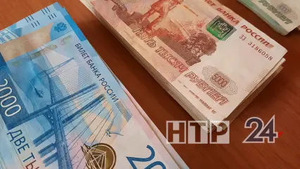 В Татарстане директор фирмы недоплачивал сотруднику и накопил долг в 265 тыс.