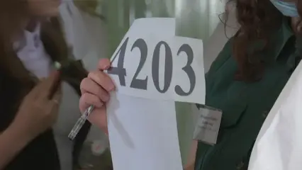 Стало известно расписание ЕГЭ 2024 в Нижнекамске - НТР 24