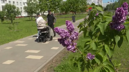 В Нижнекамске коммунальщики высадили новые саженцы в сирингарии взамен погибших