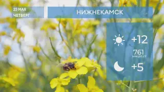 Прогноз погоды в Нижнекамске на 23-е мая 2024 года