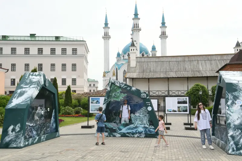 В Татарстане открыли выставку о снежном барсе