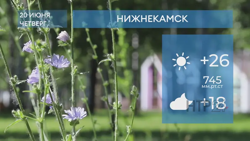 Прогноз погоды в Нижнекамске на 20-е июня 2024 года