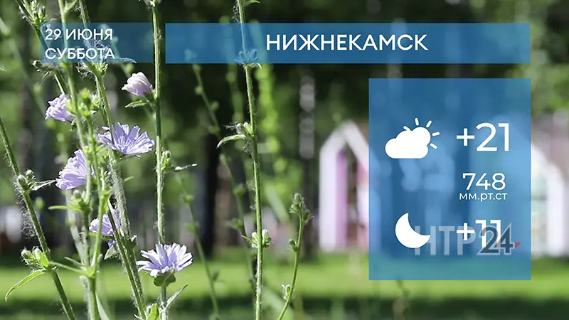 Прогноз погоды в Нижнекамске на 29-е июня 2024 года