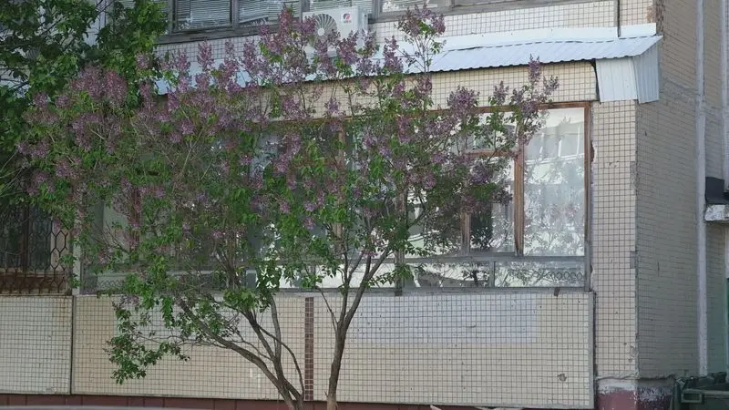 В Татарстане некоторым балконам-самостроям грозит снос из-за газовых труб