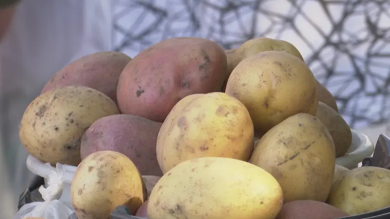 В Татарстане за неделю картофель подорожал почти на 20%