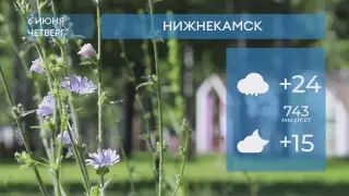 Прогноз погоды в Нижнекамске на 6-е июня 2024 года