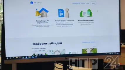 «Мои субсидии» — меры поддержки предпринимателей и фермеров в Татарстане - НТР 24