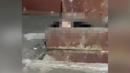 В Нижнекамске с балкона общежития выпал школьник - НТР 24